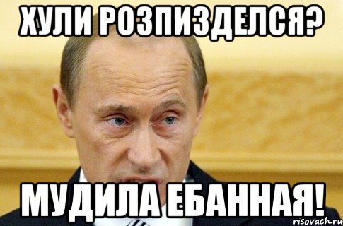 хули розпизделся? мудила ебанная!, Мем путин