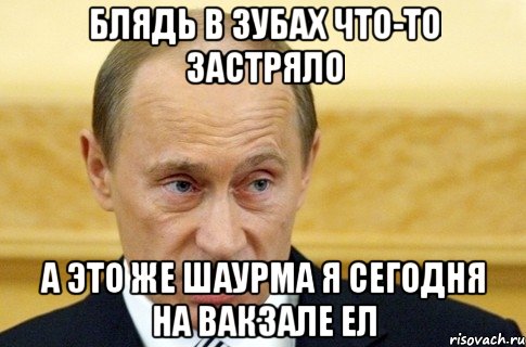 блядь в зубах что-то застряло а это же шаурма я сегодня на вакзале ел, Мем путин