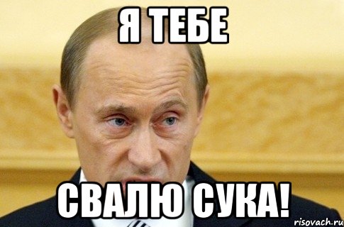 я тебе свалю сука!, Мем путин