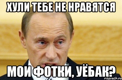 хули тебе не нравятся мои фотки, уёбак?, Мем путин