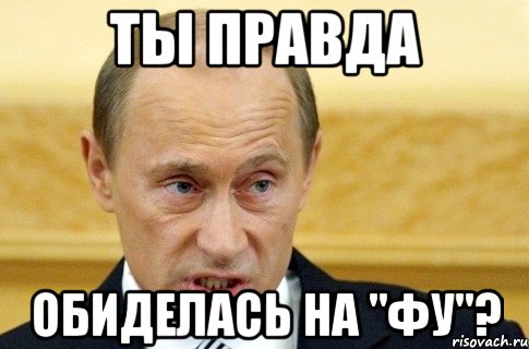 ты правда обиделась на "фу"?, Мем путин