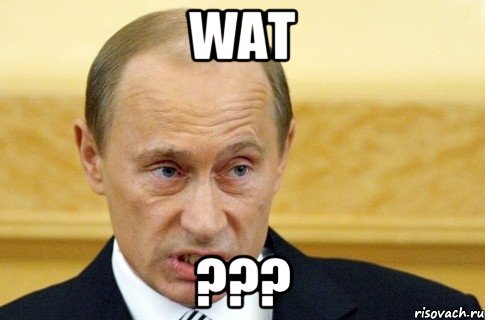 wat ???, Мем путин