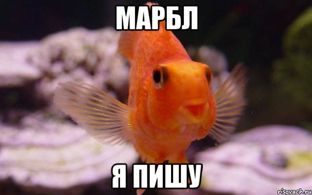 марбл я пишу