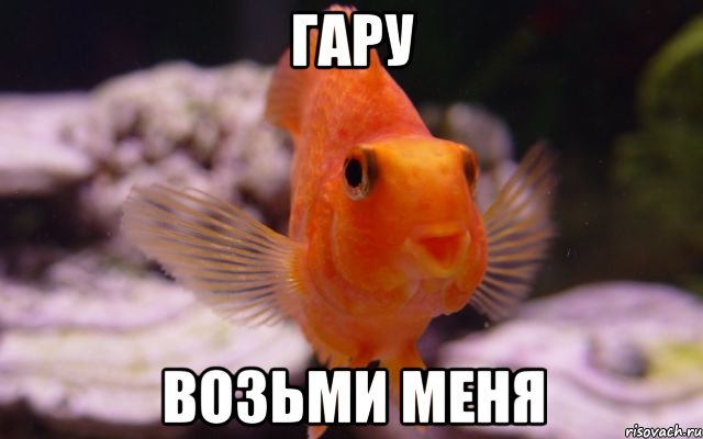 гару возьми меня