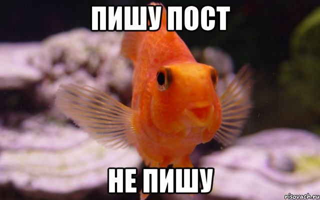 пишу пост не пишу