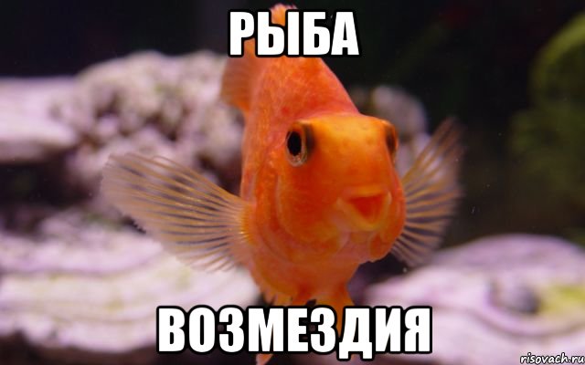 рыба возмездия
