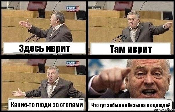 Здесь иврит Там иврит Какие-то люди за столами Что тут забыла обезьяна в одежде?