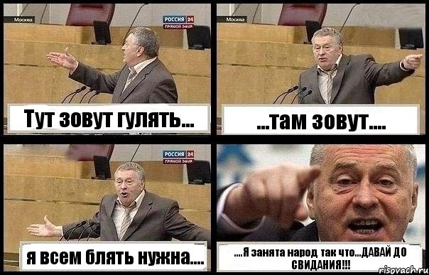 Тут зовут гулять... ...там зовут.... я всем блять нужна.... ....Я занята народ так что...ДАВАЙ ДО СВИДАНИЯ!!!, Комикс с Жириновским