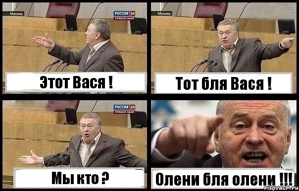 Этот Вася ! Тот бля Вася ! Мы кто ? Олени бля олени !!!, Комикс с Жириновским