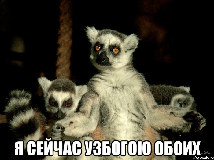  я сейчас узбогою обоих