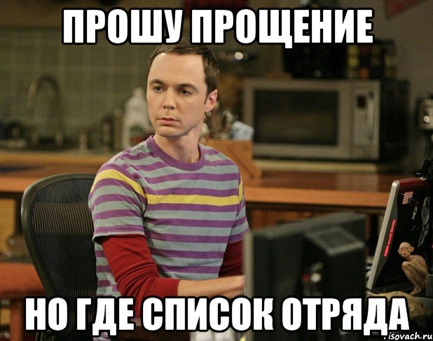 прошу прощение но где список отряда, Мем шелдон