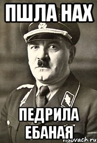 пшла нах педрила ебаная, Мем Шрек