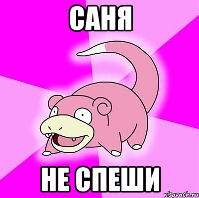 саня не спеши, Мем слоупок