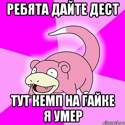 ребята дайте дест тут кемп на гайке я умер, Мем слоупок