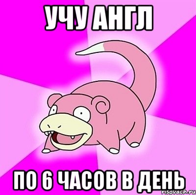 учу англ по 6 часов в день, Мем слоупок