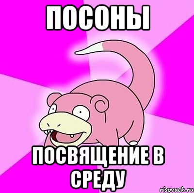 посоны посвящение в среду, Мем слоупок