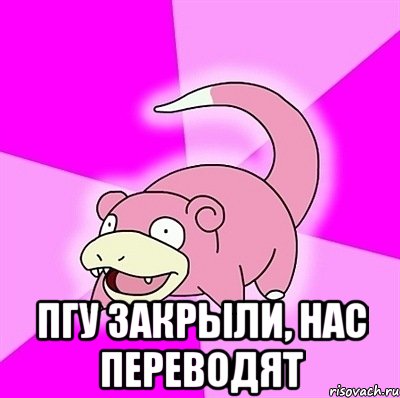  пгу закрыли, нас переводят, Мем слоупок