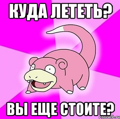 куда лететь? вы еще стоите?, Мем слоупок