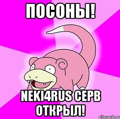 посоны! neki4rus серв открыл!, Мем слоупок