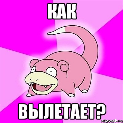 как вылетает?, Мем слоупок