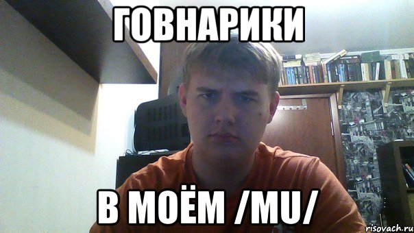 говнарики в моём /mu/