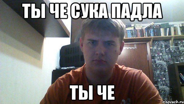 ты че сука падла ты че