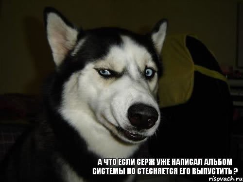 а что если Серж уже написал альбом системы но стесняется его выпустить ?, Комикс  Собака подозревака