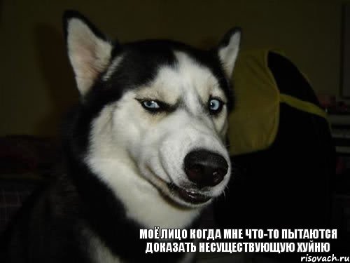 моё лицо когда мне что-то пытаются доказать несуществующую хуйню, Комикс  Собака подозревака