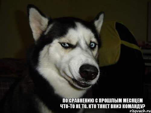 по сравнению с прошлым месяцем что-то не то. Кто тянет вниз команду?, Комикс  Собака подозревака