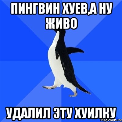 пингвин хуев,а ну живо удалил эту хуилку, Мем  Социально-неуклюжий пингвин