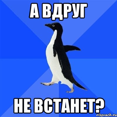 а вдруг не встанет?, Мем  Социально-неуклюжий пингвин