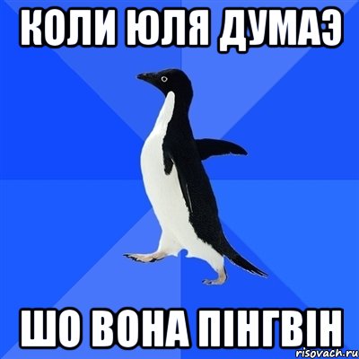 коли юля думаэ шо вона пінгвін, Мем  Социально-неуклюжий пингвин