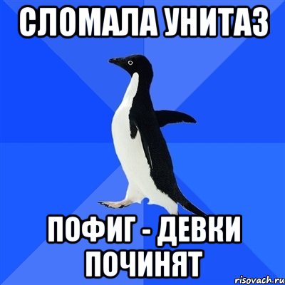 сломала унитаз пофиг - девки починят, Мем  Социально-неуклюжий пингвин