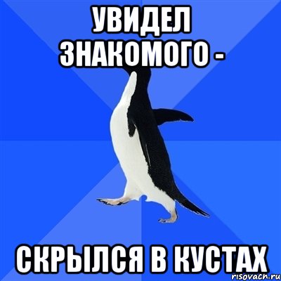 увидел знакомого - скрылся в кустах, Мем  Социально-неуклюжий пингвин