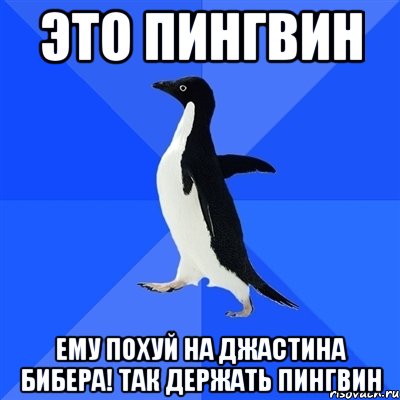 это пингвин ему похуй на джастина бибера! так держать пингвин, Мем  Социально-неуклюжий пингвин