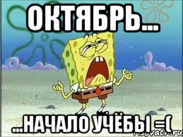 октябрь... ...начало учёбы =(, Мем Спанч Боб плачет