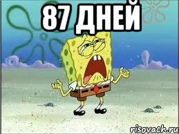 87 дней , Мем Спанч Боб плачет