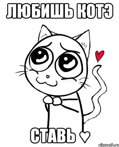 любишь котэ ставь ♥