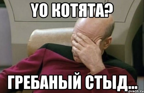 yo котята? гребаный стыд...