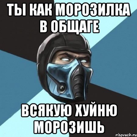 ты как морозилка в общаге всякую хуйню морозишь, Мем Саб-Зиро