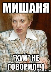 мишаня "хуй" не говорил!!1, Мем Судья Егорова