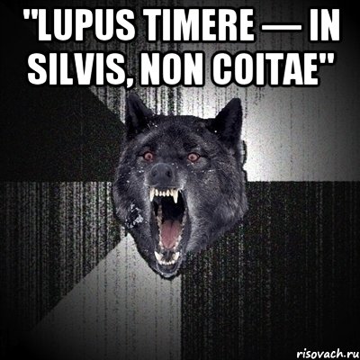 "lupus timere — in silvis, non coitae" , Мем Сумасшедший волк