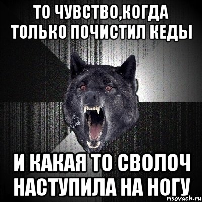 то чувство,когда только почистил кеды и какая то сволоч наступила на ногу, Мем Сумасшедший волк