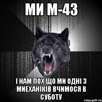 ми м-43 і нам пох що ми одні з миеханіків вчимося в суботу, Мем Сумасшедший волк