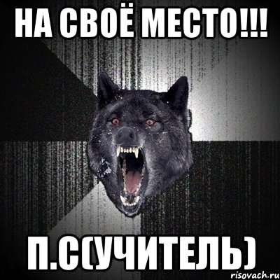 на своё место!!! п.с(учитель), Мем Сумасшедший волк