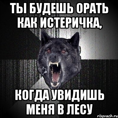 ты будешь орать как истеричка, когда увидишь меня в лесу, Мем Сумасшедший волк