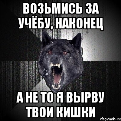 возьмись за учёбу, наконец а не то я вырву твои кишки, Мем Сумасшедший волк