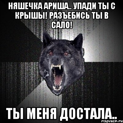 няшечка ариша.. упади ты с крышы! разъебись ты в сало! ты меня достала.., Мем Сумасшедший волк