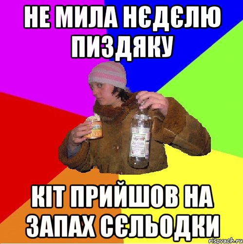 не мила нєдєлю пиздяку кіт прийшов на запах сєльодки