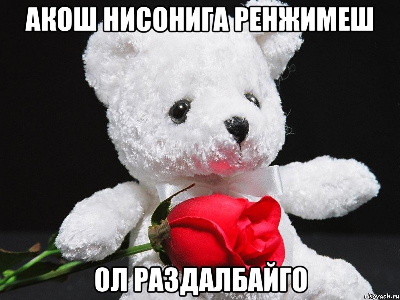 акош нисонига ренжимеш ол раздалбайго, Мем This teddy